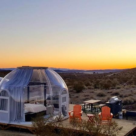 Jthavn-Joshua Tree Remote Dessert Bubble Dome מראה חיצוני תמונה