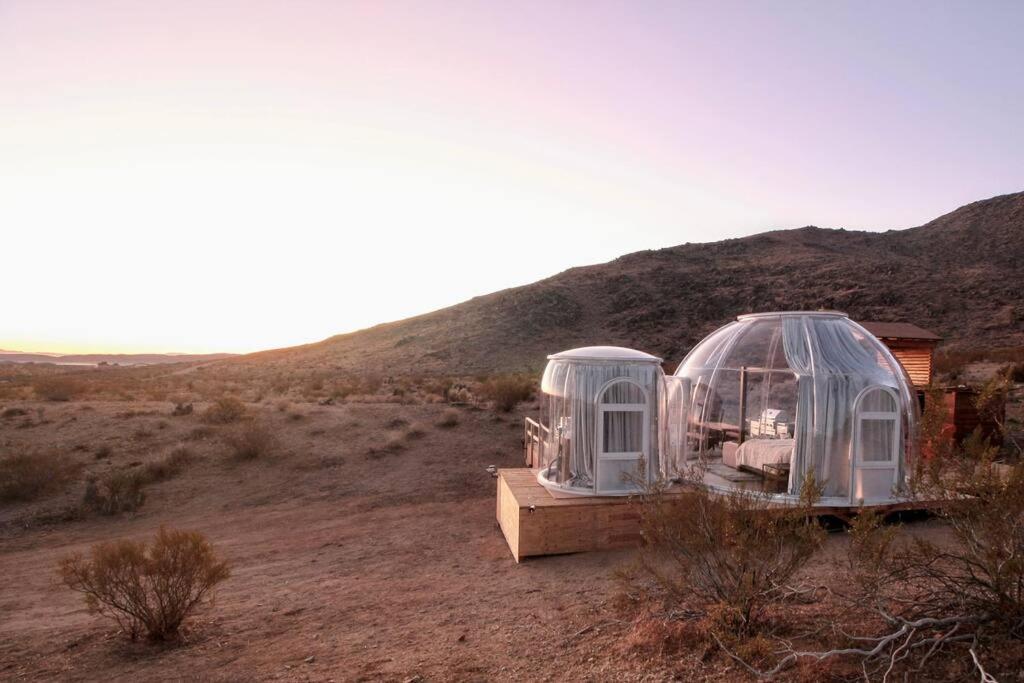 Jthavn-Joshua Tree Remote Dessert Bubble Dome מראה חיצוני תמונה