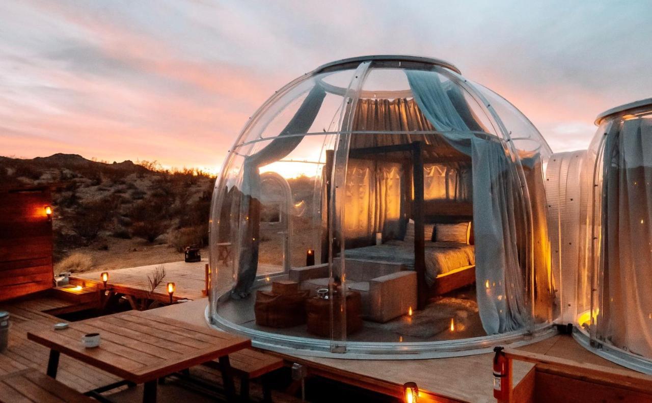 Jthavn-Joshua Tree Remote Dessert Bubble Dome מראה חיצוני תמונה