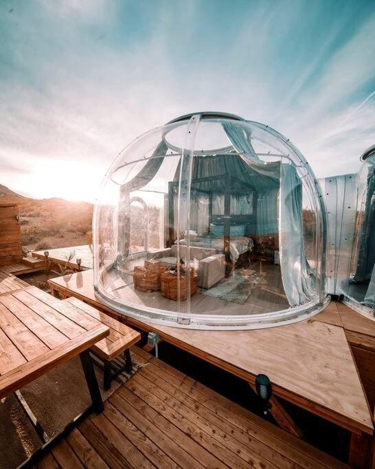 Jthavn-Joshua Tree Remote Dessert Bubble Dome מראה חיצוני תמונה