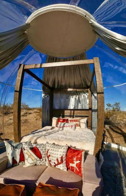 Jthavn-Joshua Tree Remote Dessert Bubble Dome מראה חיצוני תמונה
