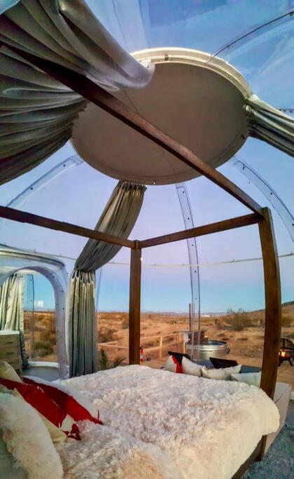 Jthavn-Joshua Tree Remote Dessert Bubble Dome מראה חיצוני תמונה