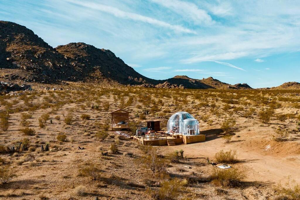 Jthavn-Joshua Tree Remote Dessert Bubble Dome מראה חיצוני תמונה