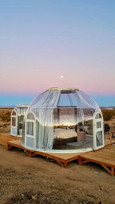 Jthavn-Joshua Tree Remote Dessert Bubble Dome מראה חיצוני תמונה